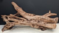 Mangrovenwurzel / Mangrove wood 60-80 cm (Stk./pce)