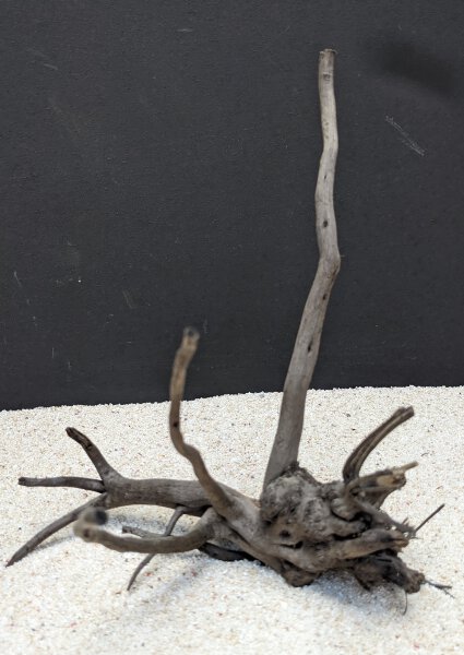 Black Driftwood ca. 30-50 cm, (kg)