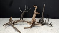 Black Driftwood ca. 30-50 cm, (kg)