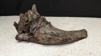 Driftwood M ca. 24-35 cm, (pce/Stck)