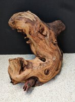 Mopaniholz / Mopani Wood M ca. 0,8-1,5 kg, (Stck./pce)