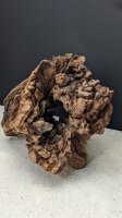 Mooreichenwurze / Moor Oak Root  &gt; 50 cm, (kg)