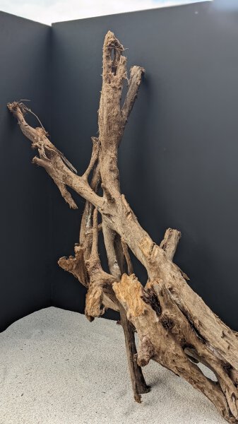 Mangrowenwurzel / Mangrove wood ca. 80-100 cm (Stck./pce)