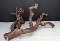 Terrarienholz / Terrarium Wood ca. 40-50 cm, (Stck./pce)