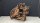 Mooreichenwurzel / Moor Oak Root ca. 15-50 cm, (kg)