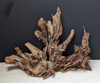 Kienwurzel / Pine Root ca. 30-40 cm, (Stck./pce)