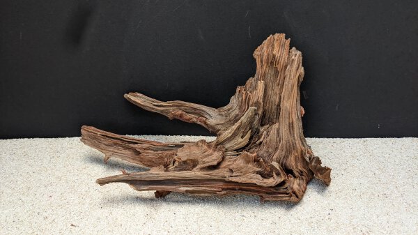 Kienwurzel / Pine Root ca. 20-30 cm, (Stck/pce)