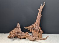 Kienwurzel / Pine Root ca. 40-50 cm, (Stck./pce)