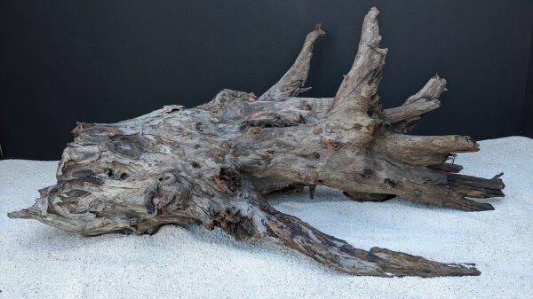 Pin Wood 40-60 cm, (Stck./pce)