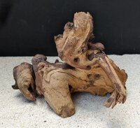 Mopaniholz / Mopani Wood L ca. 1,5-3,5 kg, (Stck./pce)